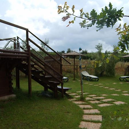 Agriturismo Il Forasacco Grosseto Dış mekan fotoğraf