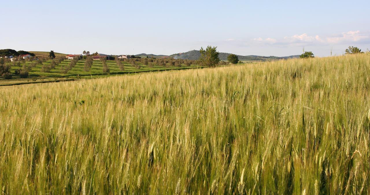 Agriturismo Il Forasacco Grosseto Dış mekan fotoğraf