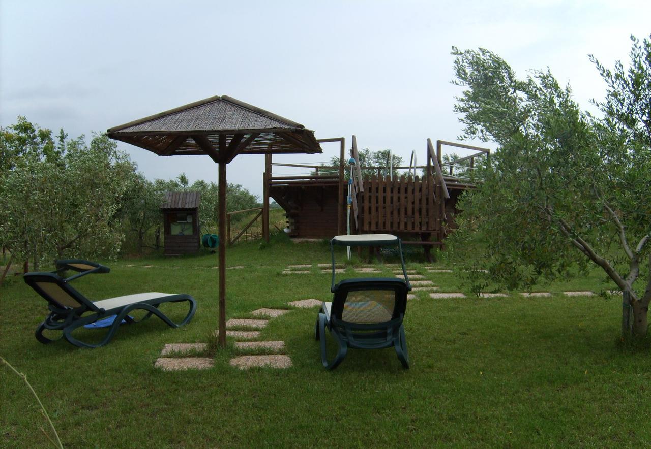 Agriturismo Il Forasacco Grosseto Dış mekan fotoğraf