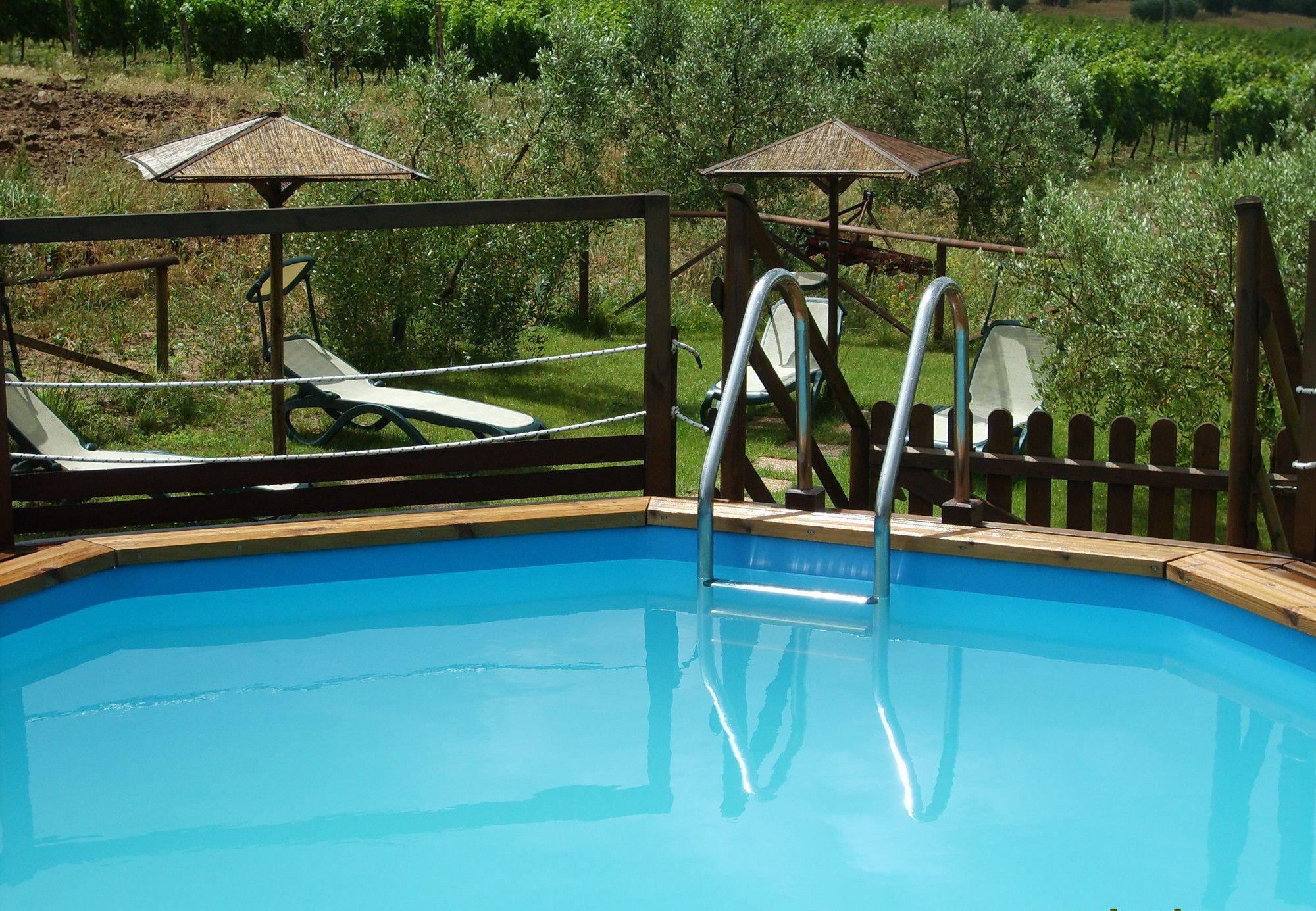Agriturismo Il Forasacco Grosseto Dış mekan fotoğraf